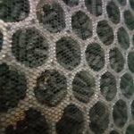 IMG_20231108_160915