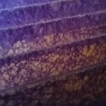 IMG_20231108_154011
